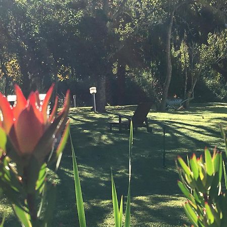 Bed and Breakfast Constantia Spring Екстер'єр фото