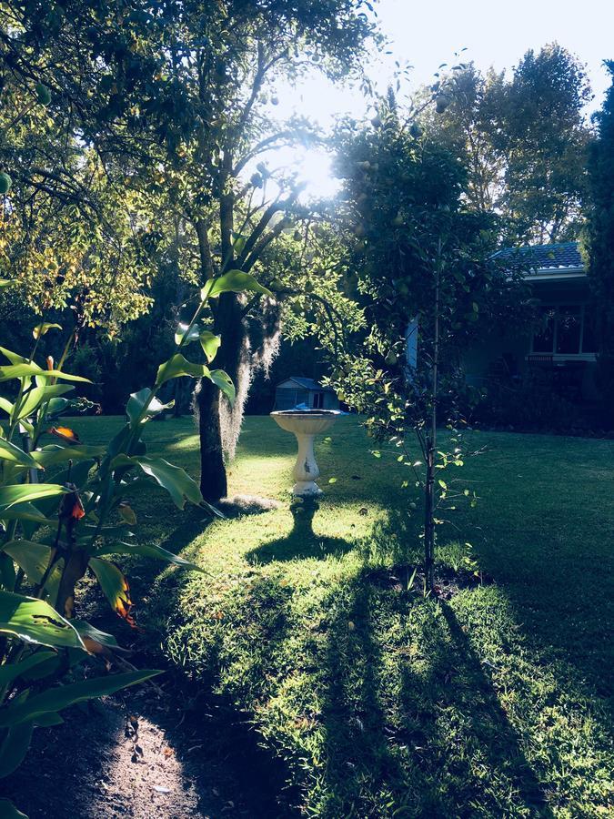 Bed and Breakfast Constantia Spring Екстер'єр фото