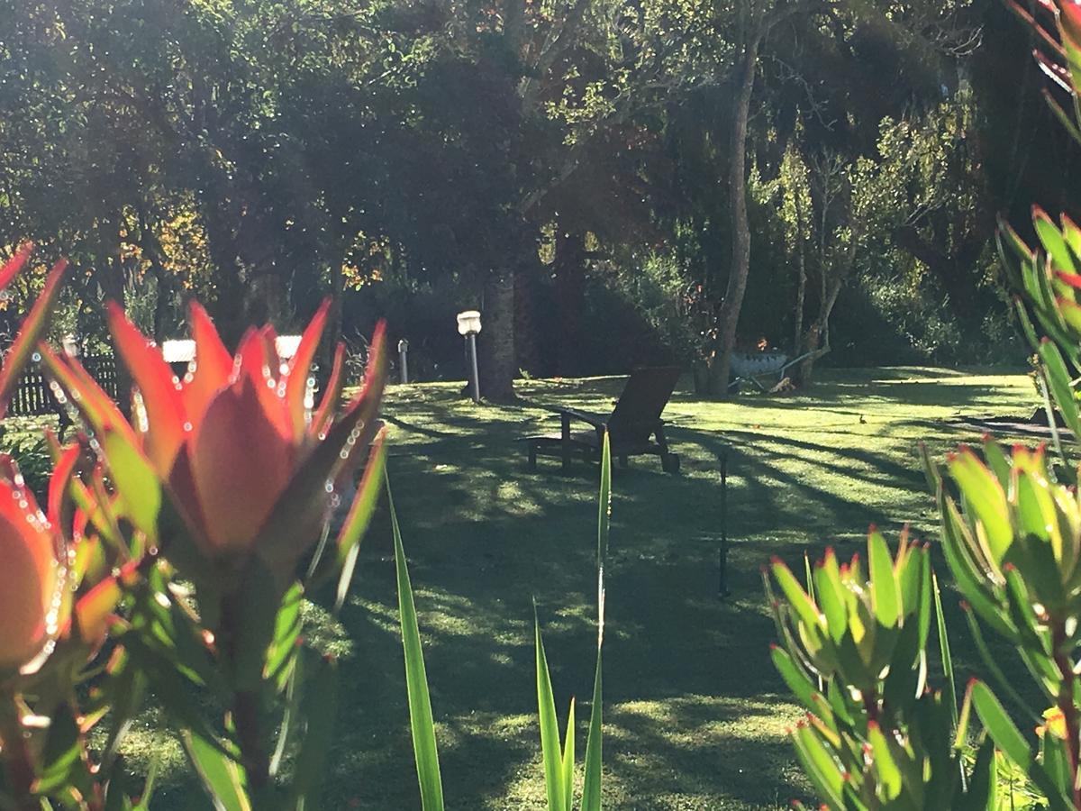 Bed and Breakfast Constantia Spring Екстер'єр фото