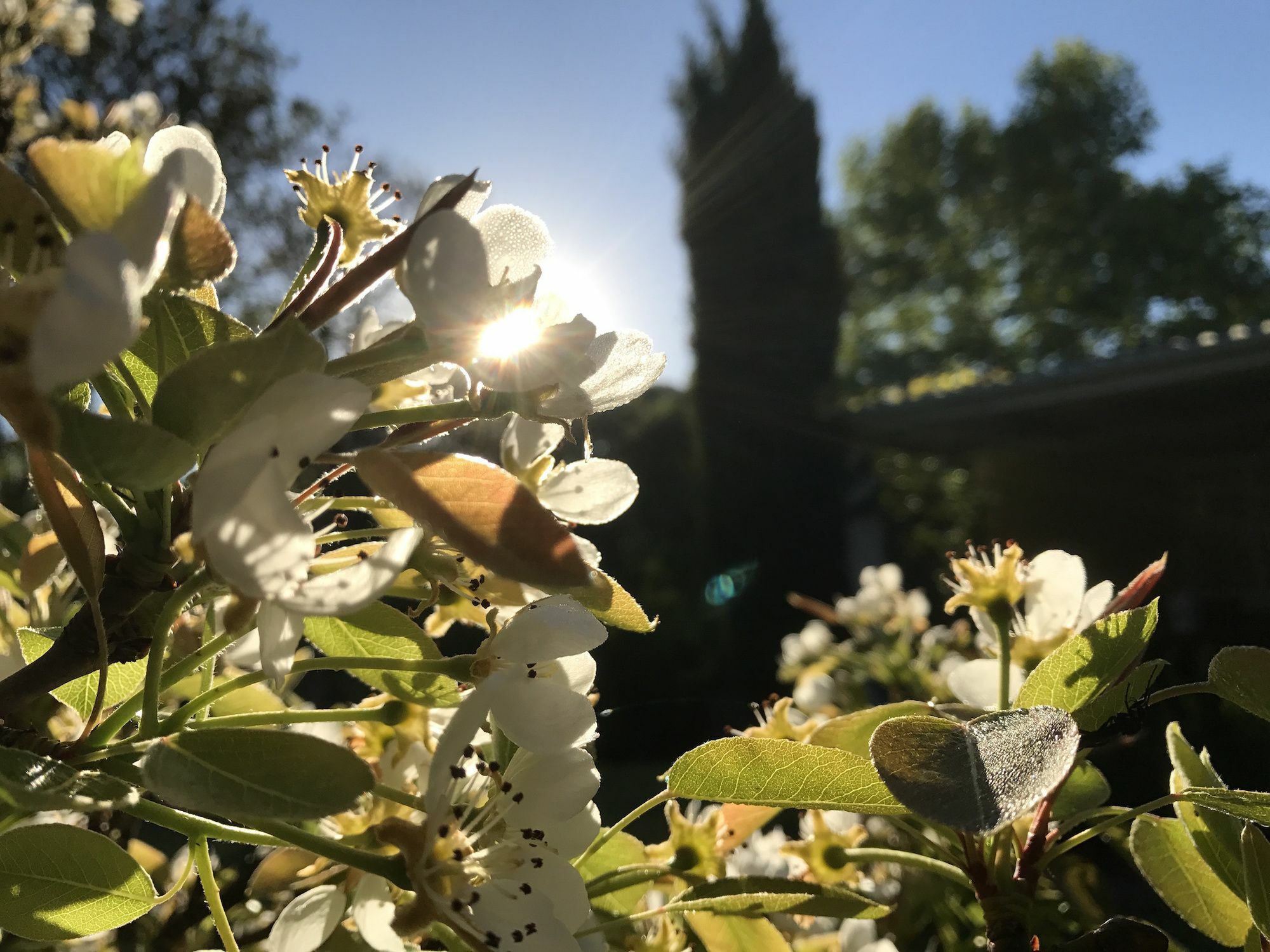 Bed and Breakfast Constantia Spring Екстер'єр фото