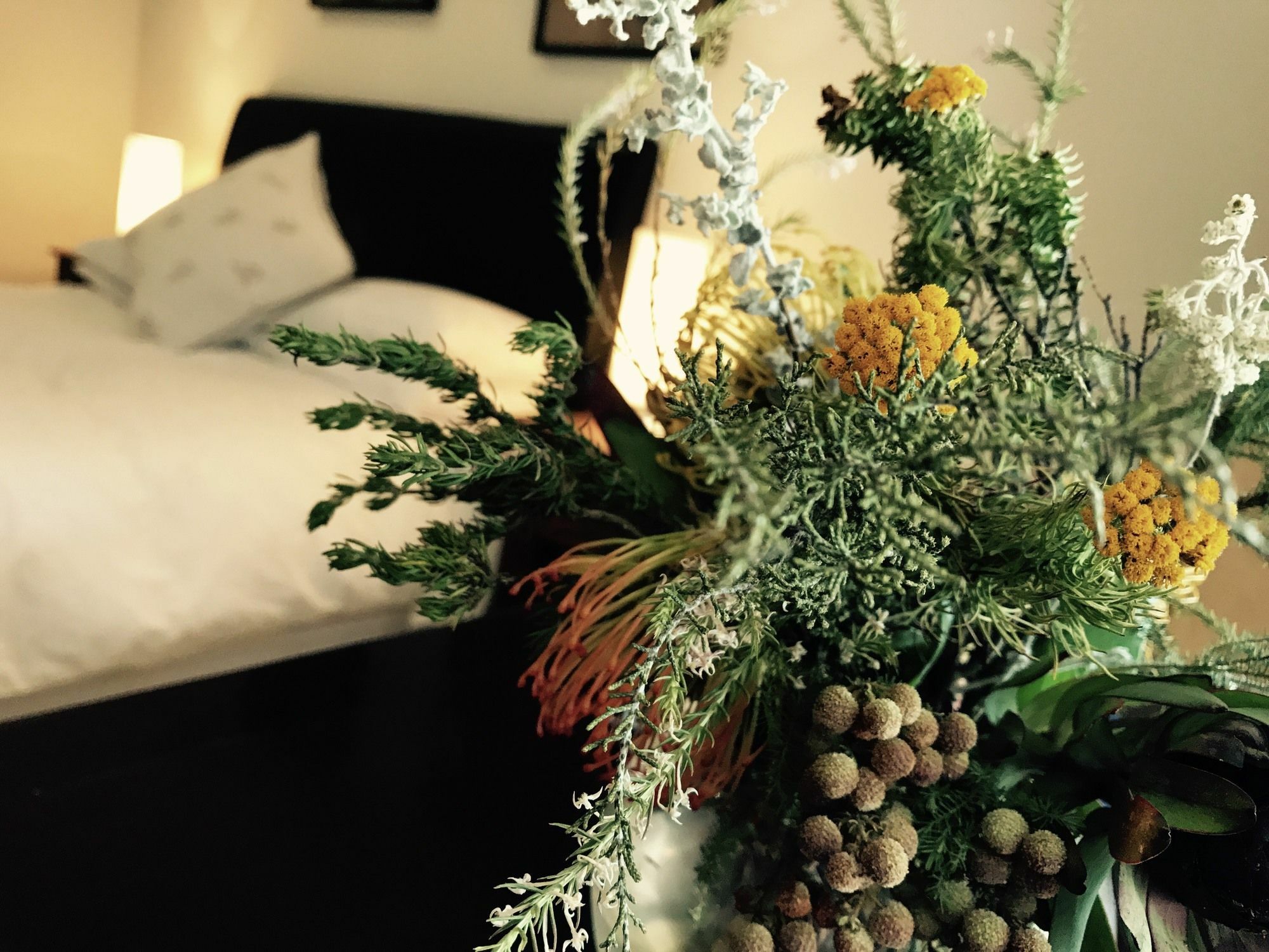 Bed and Breakfast Constantia Spring Екстер'єр фото